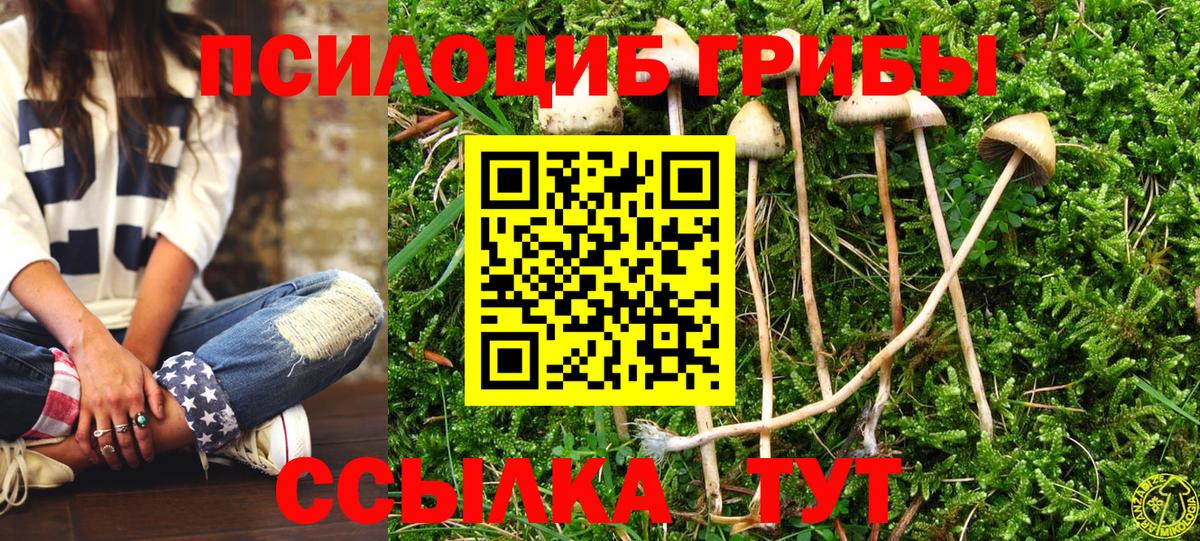 Галлюциногенные грибы Psilocybine cubensis  Вход с VPN  Протвино  цена наркотик  Галлюциногенные грибы GOLDEN TEACHER 